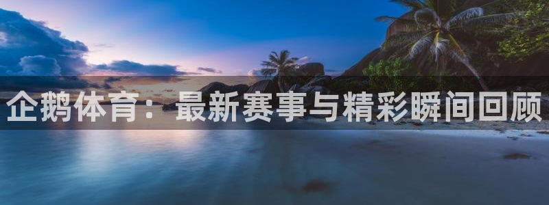 企鹅体育：最新赛事与精彩瞬间回顾